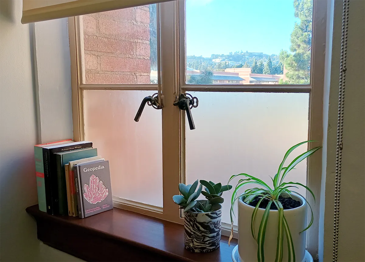 A window looking out on a sunny L.A. hilltop, with books and plants on the windowsill.