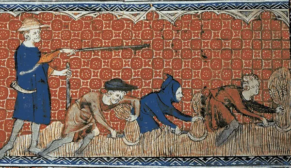Medieval illustration of men harvesting wheat with reaping-hooks.